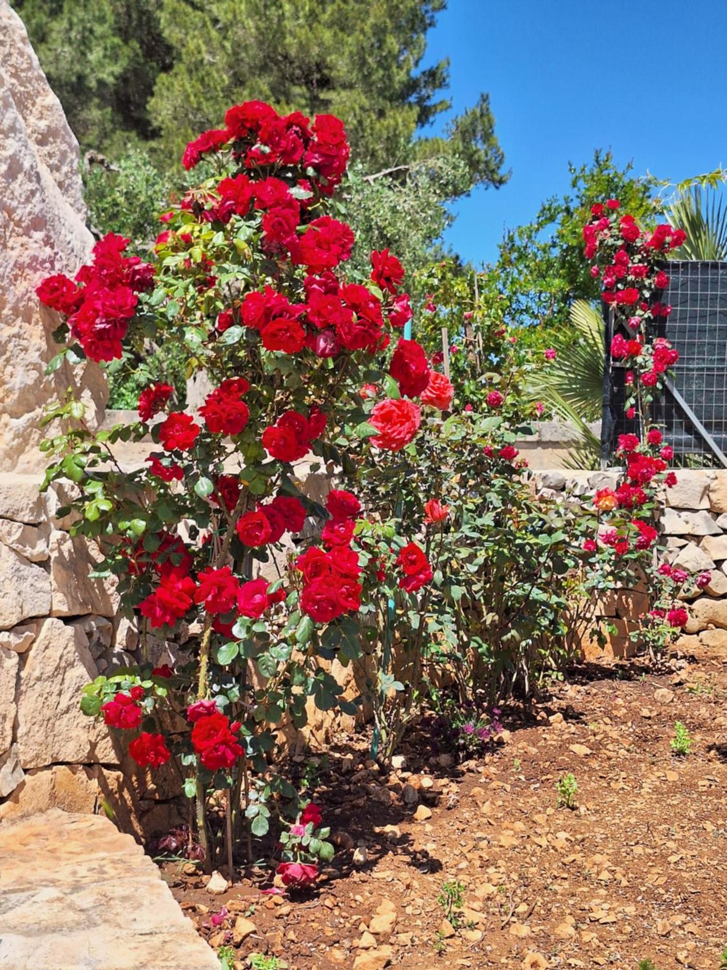 شقة Baciati Dal Sole مارتينا فرانكا المظهر الخارجي الصورة